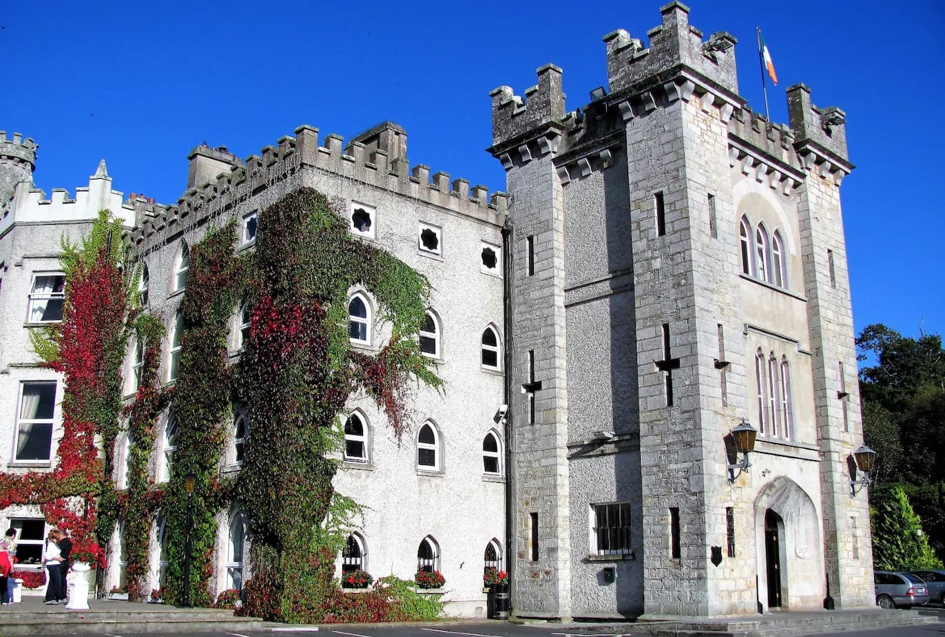 Fairy-Tale Arrivals: Dublin Airport to Cabra Castle Transfer
