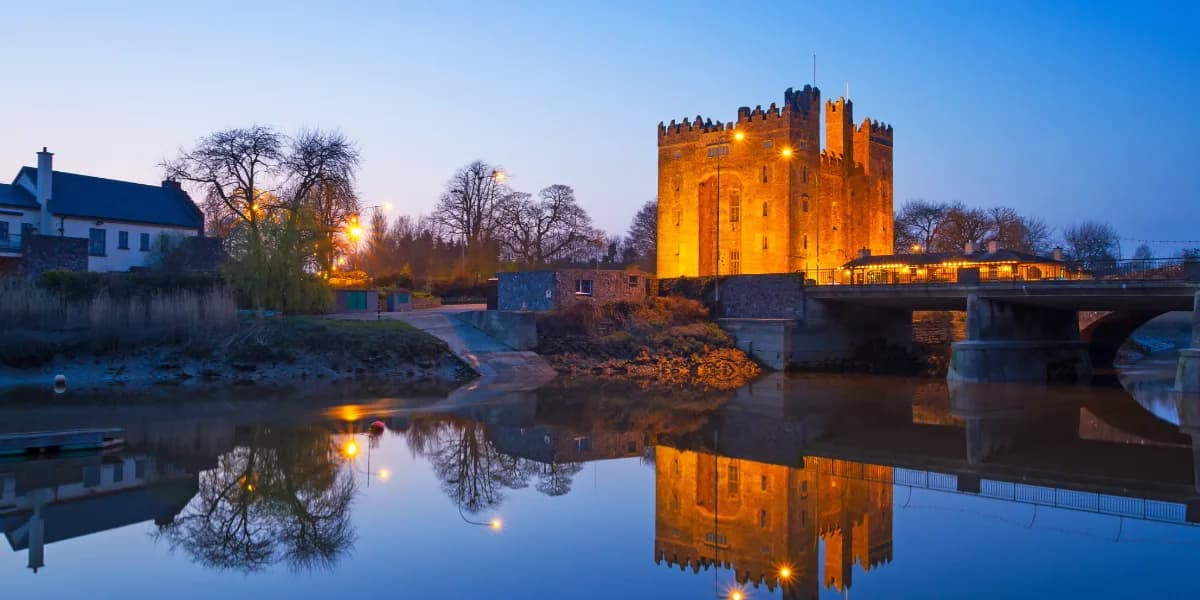 Bunratty Castle & Folk Park from Dublin: Private Chauffeur Guide