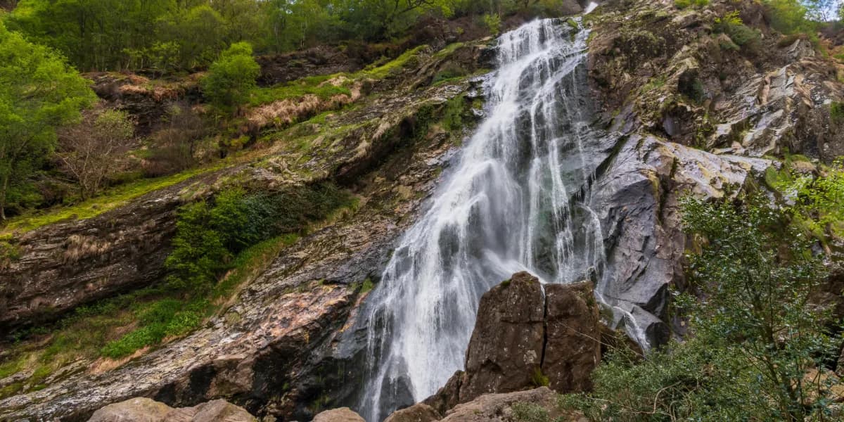 Powerscourt Gardens & Waterfall from Dublin: Private Chauffeur Guide
