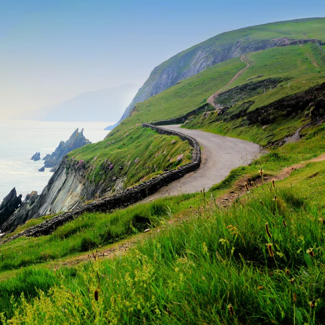 Premium Mercedes chauffeur vehicle interior with luxury amenities for VIPtransfer.ie passengers in Ireland